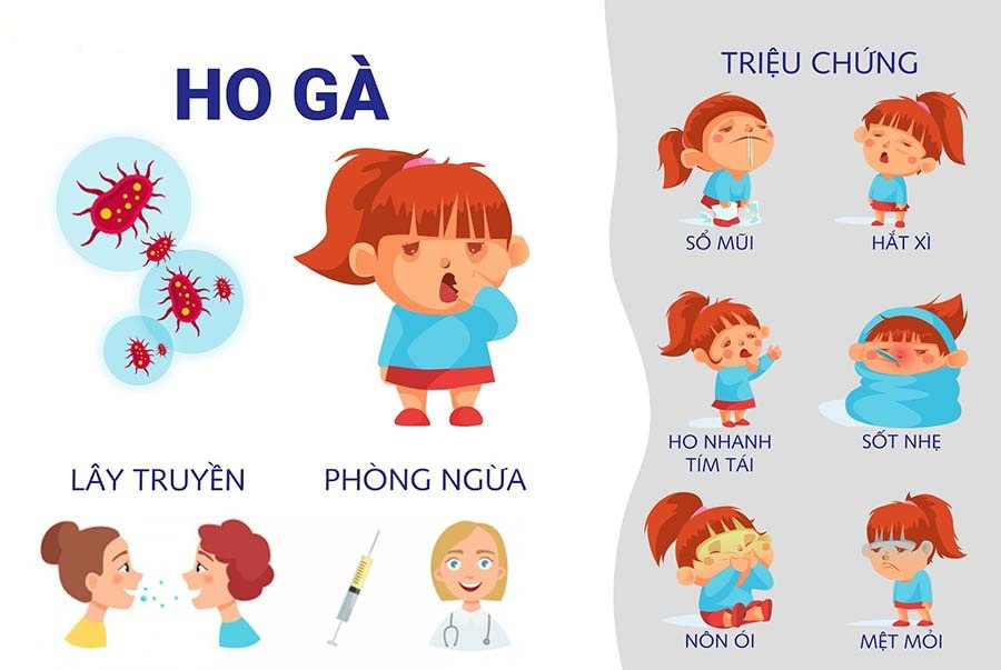 ho gà - Ảnh 1.