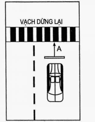 bai thi sa hinh 1