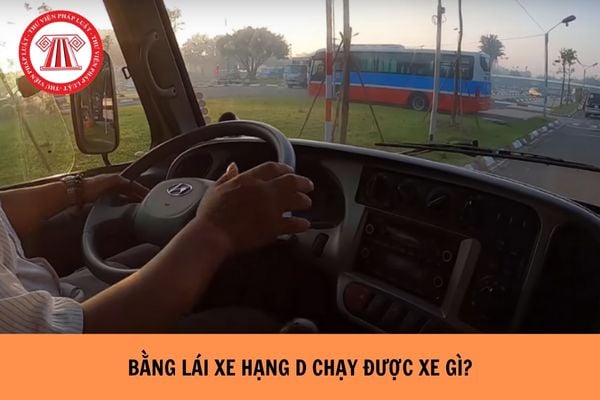Bằng lái xe hạng D có thể điều khiển xe gì? 