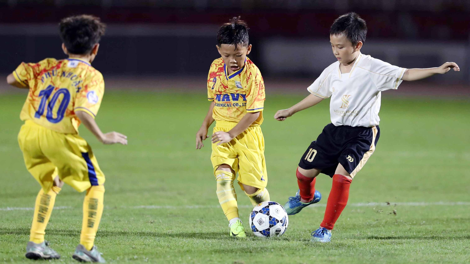 nhập tịch - Ảnh 1.