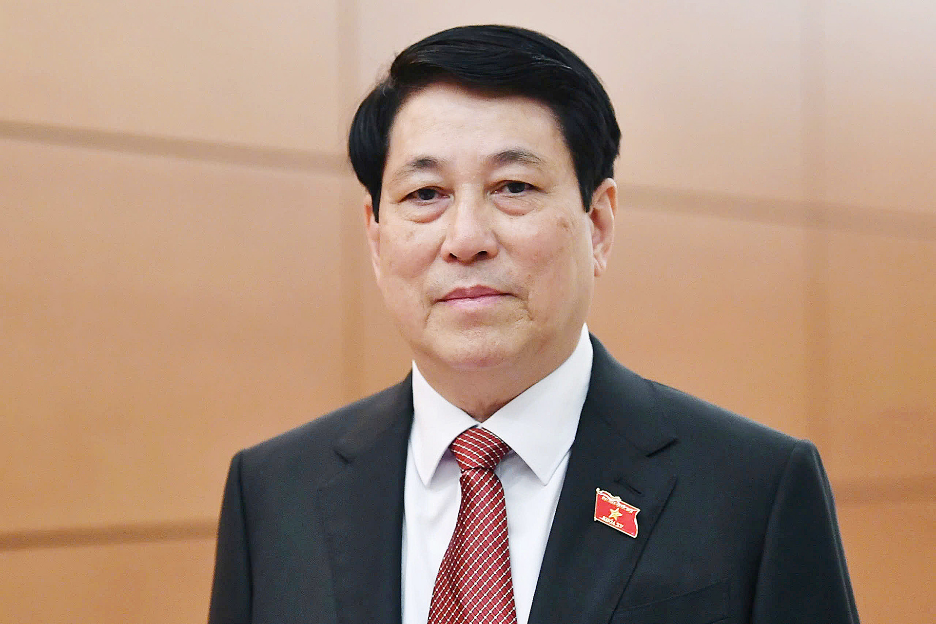 Chủ tịch nước thăm Lào - Ảnh 1.