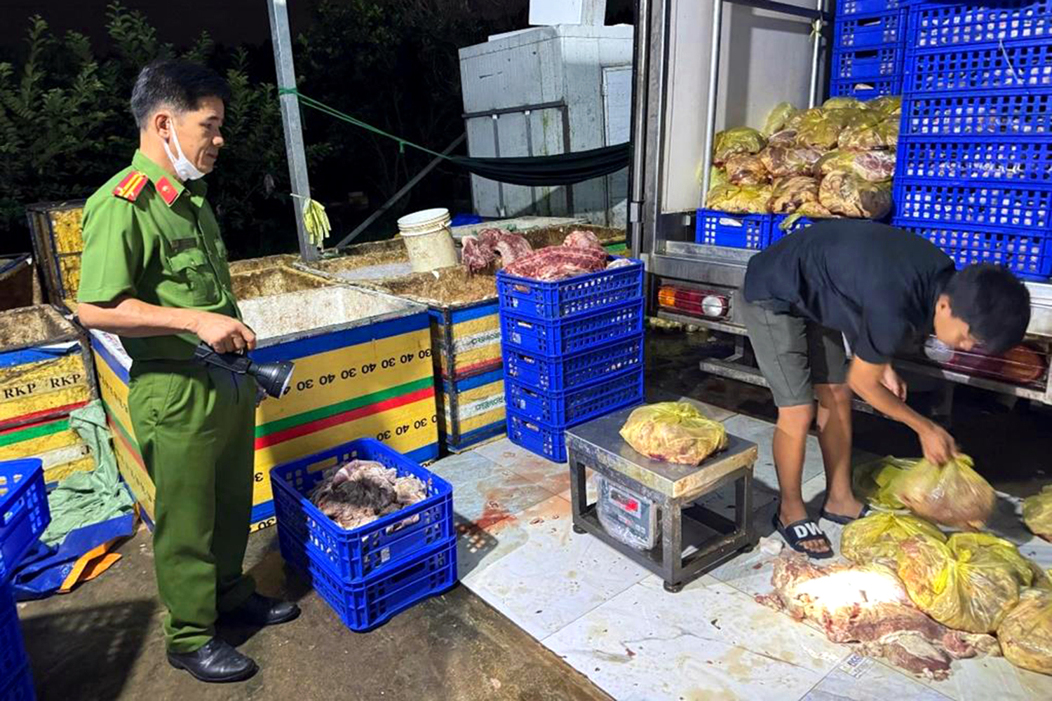 Khởi tố 3 người liên quan đến việc chế biến thịt heo chết tại Đồng Nai: Hành trình của thịt heo ra sao? - Ảnh 1.