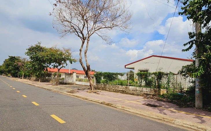 Hôm nay, đấu giá khu đất gần 60 ha giá gần 7.600 tỉ đồng ở Vũng Tàu - Ảnh 3.