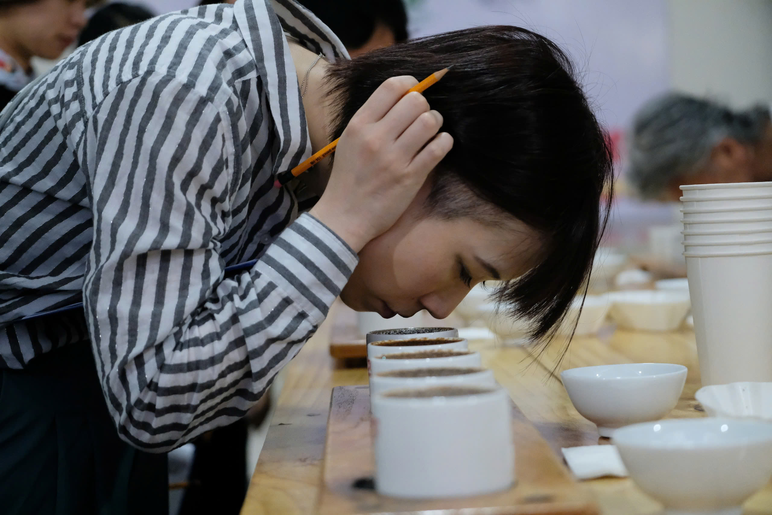 Nông dân Cầu Đất Đà Lạt xuất sắc giành giải nhất cà phê arabica Việt Nam - Ảnh 3.