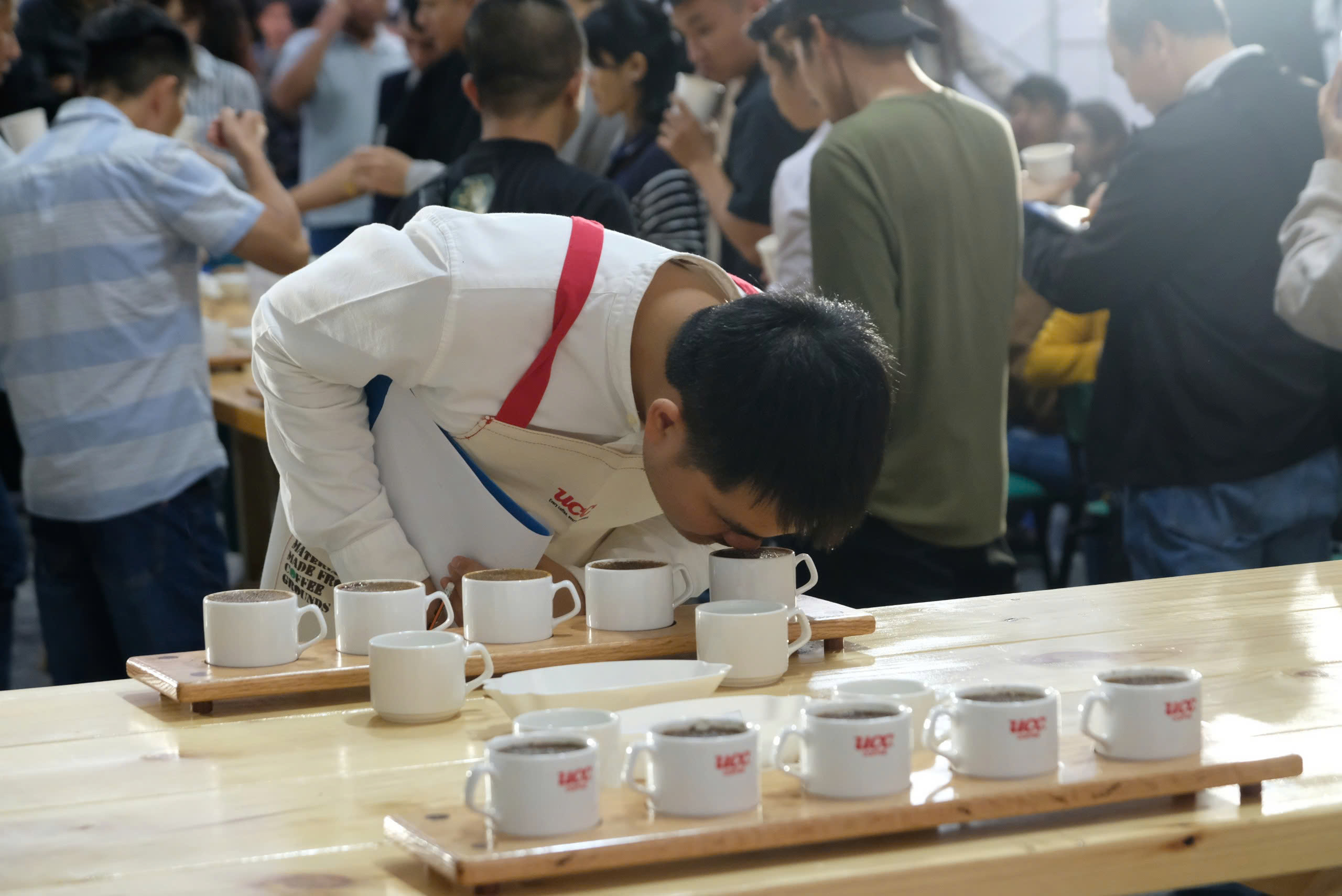Nông dân Cầu Đất Đà Lạt xuất sắc giành giải nhất cà phê arabica Việt Nam - Ảnh 4.