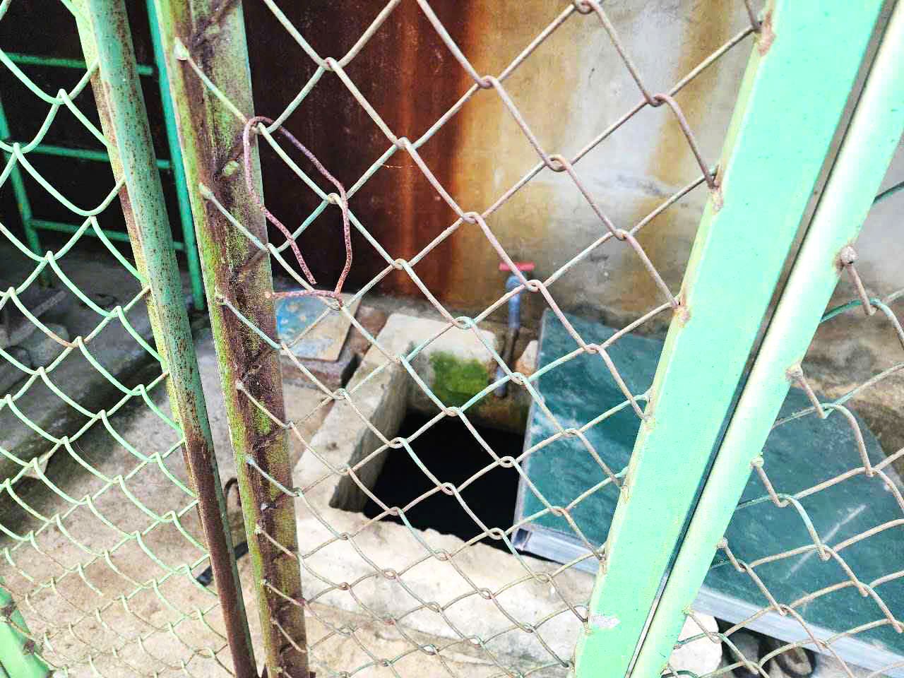 bé trai - Ảnh 1.